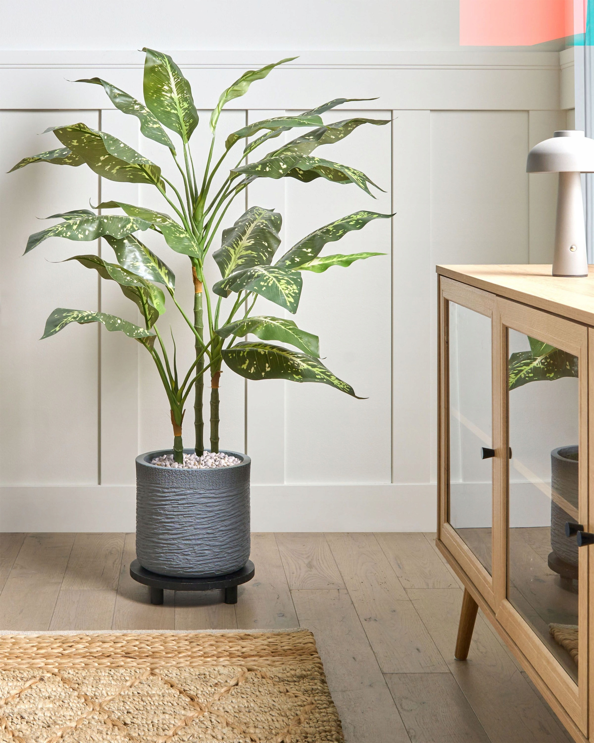 Minimalistyczny design idealny dla kolorowych roślin