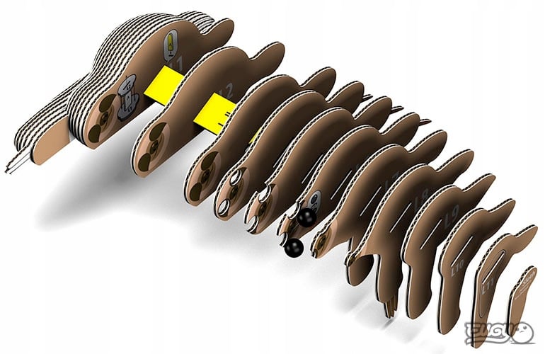 Cechy dziobaka – Niezwykły ssak z unikalnymi cechami