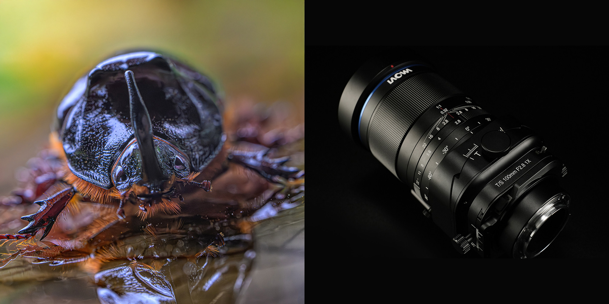 Obiektyw Laowa 100 mm f/2,8 Tilt-Shift 1x Macro do Sony E