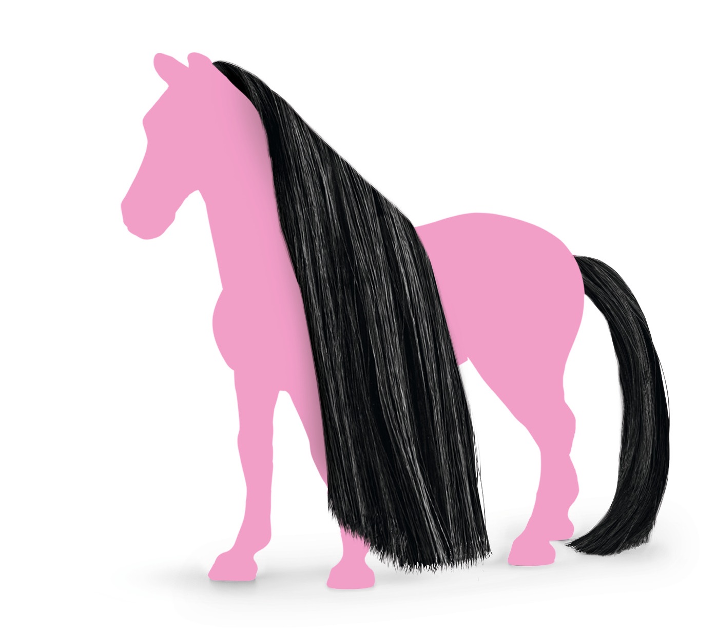 Sześć kolorów do wyboru – Nieograniczone możliwości stylizacji