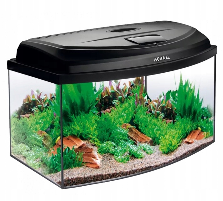 Owalna szyba i elegancki design – estetyka w Twoim wnętrzu