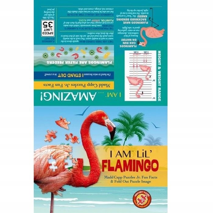 Edukacyjne aspekty puzzli – Ciekawostki o flamingach