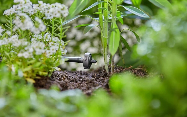 Zastosowanie w nawadnianiu pojedynczych roślin i rzędów