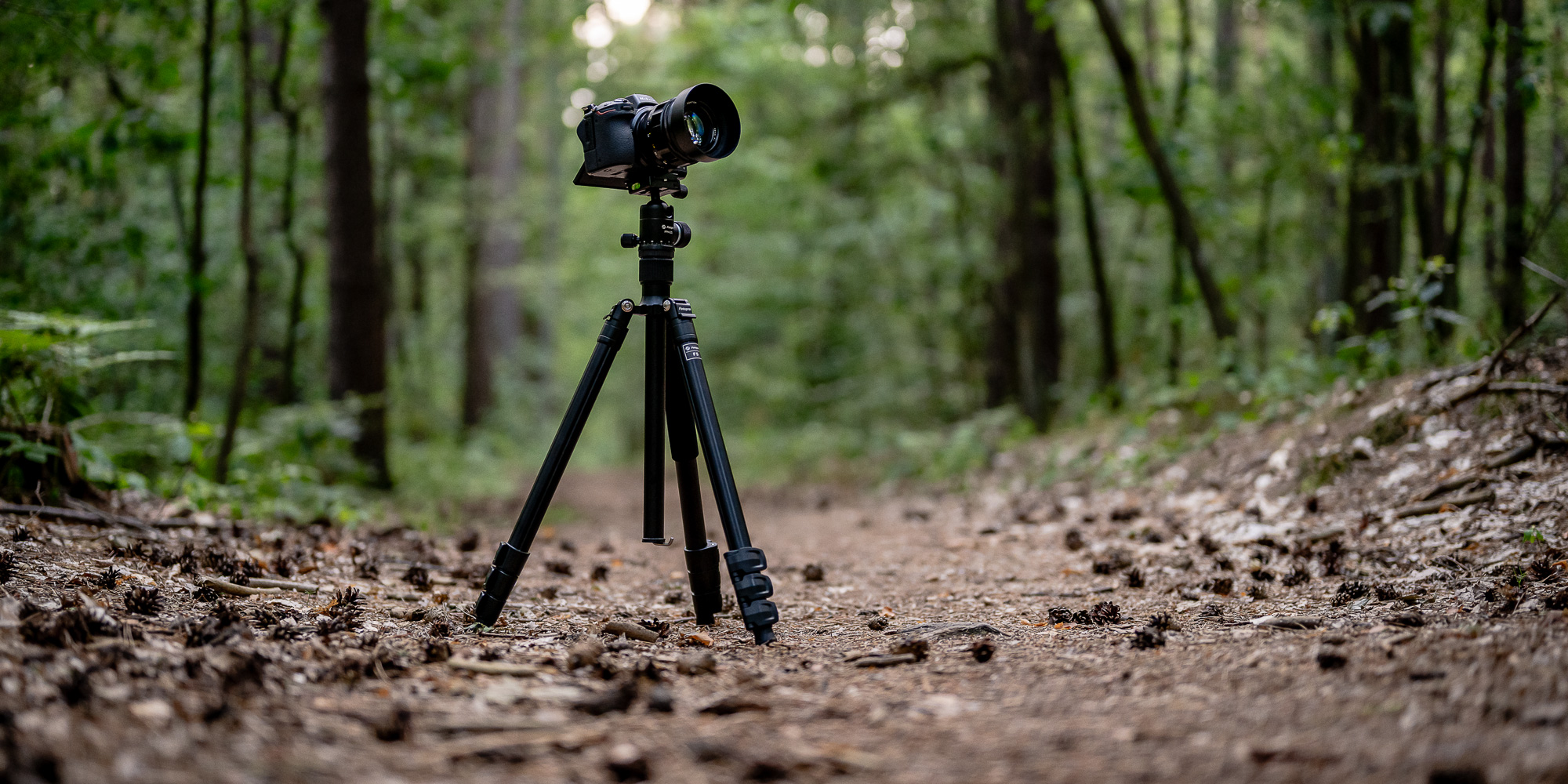 Statyw Fotopro F5 z głowicą kulową FPH-52Q