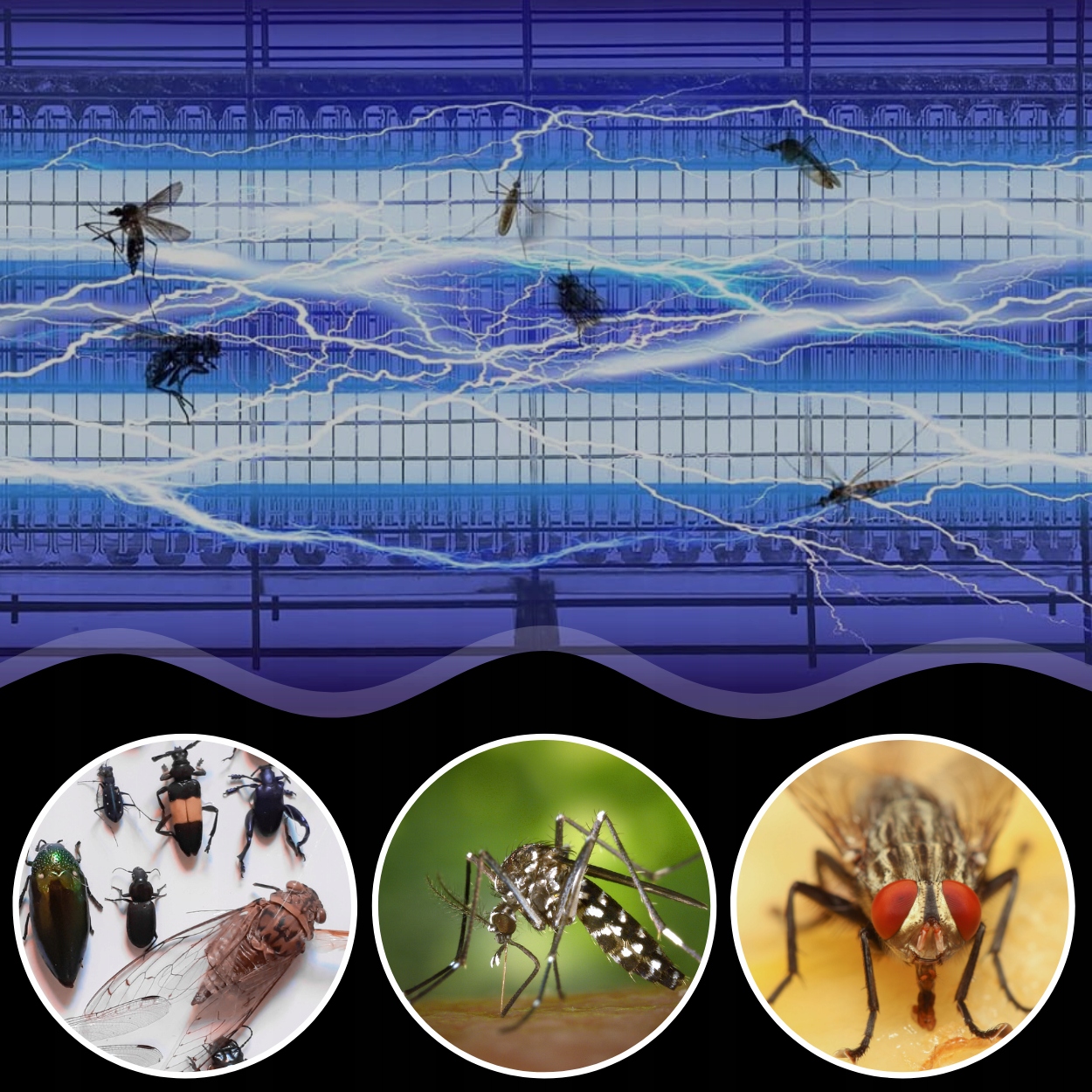 Nowoczesna technologia UV – Efektywne przyciąganie i eliminacja owadów