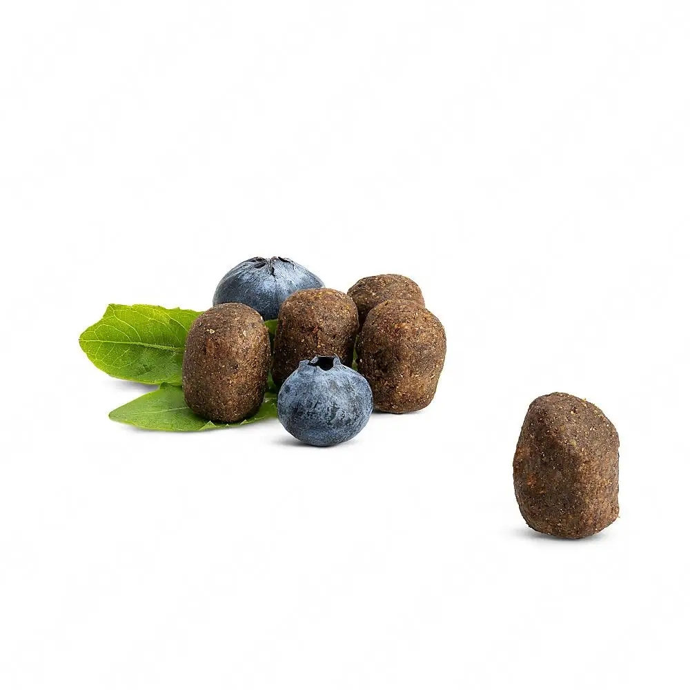 Pyszna receptura z delikatnym drobiem z wolnego wybiegu