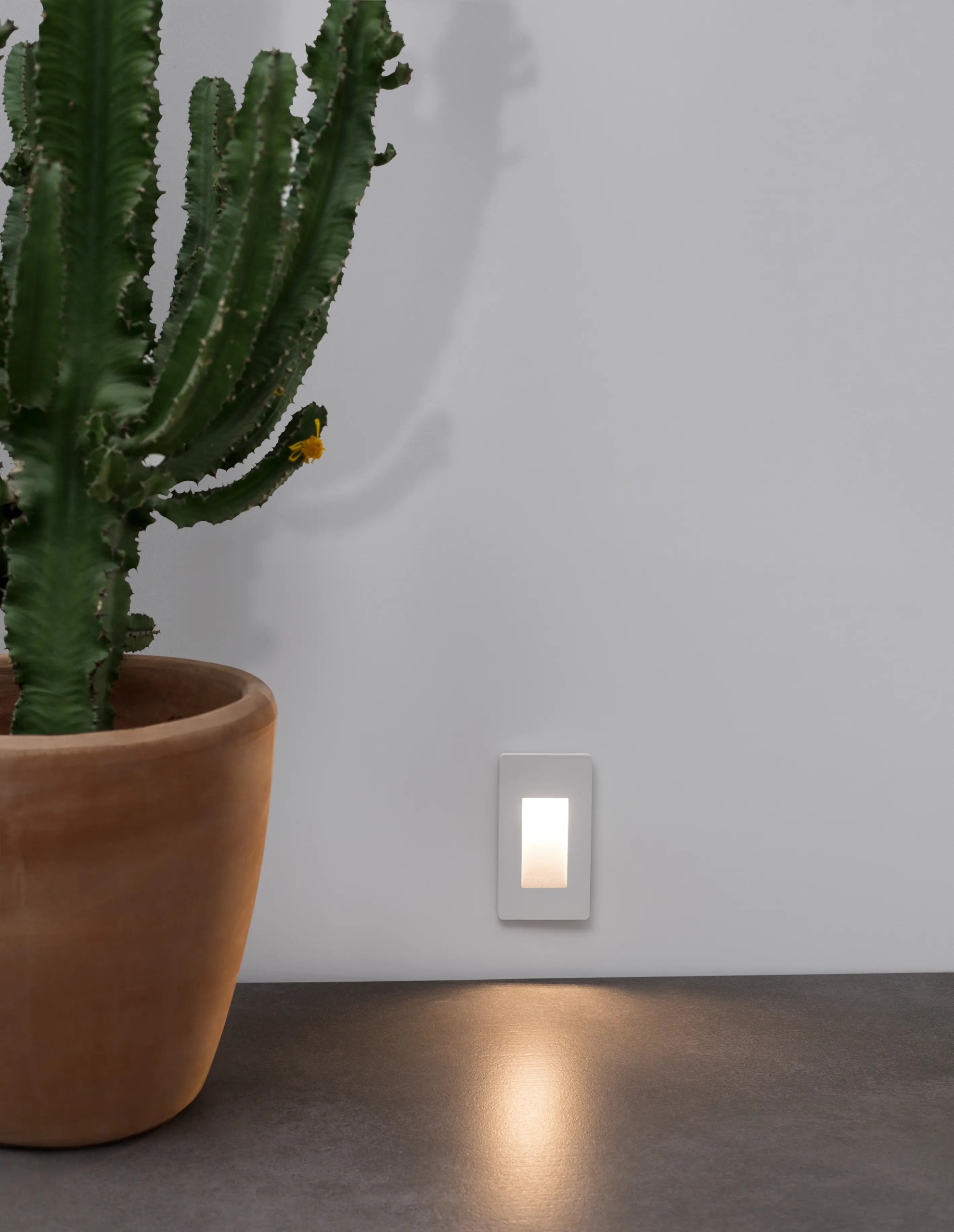 Zewnętrzna LED 3W Bacago LE73564 – Nowoczesne oświetlenie do ogrodu