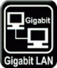 Gigabit LAN connectivity