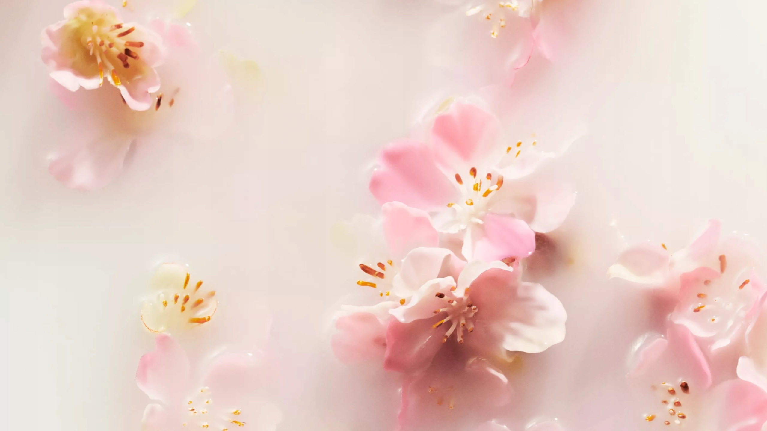 Lekki kwiatowy aromat inspirowany tradycją Hanami