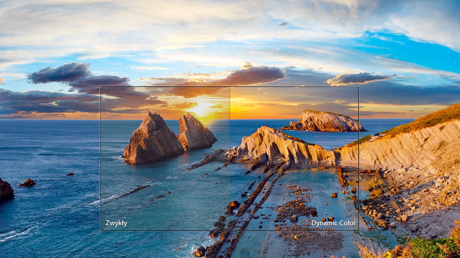 01_LK51_D_Dynamic_color_desktop_v1