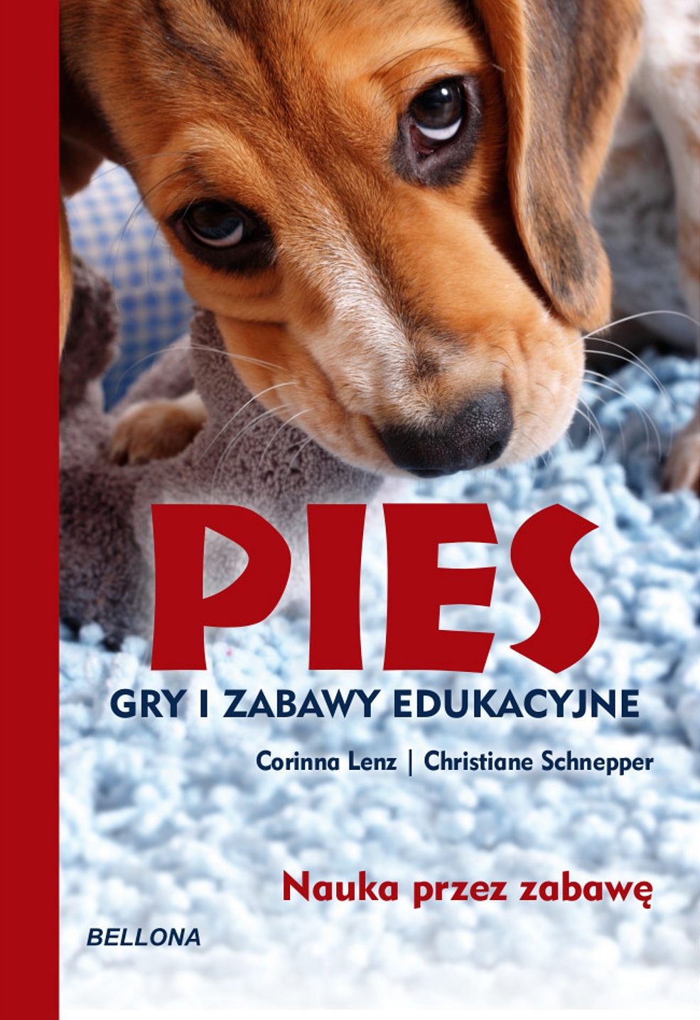 Pies. Gry i zabawy edukacyjne – Niezwykła podróż w świat szkolenia szczeniąt
