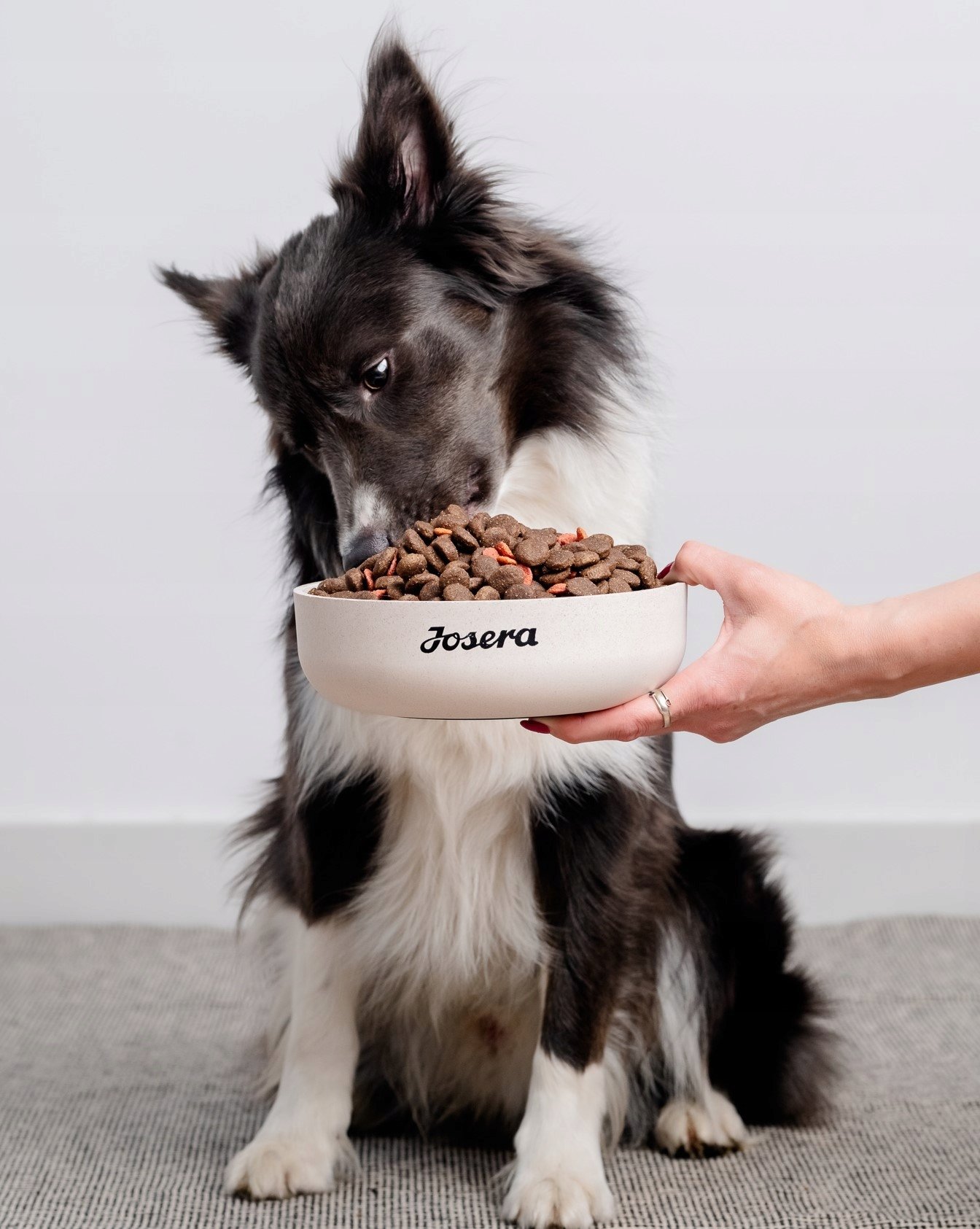 Glutenfree i bogate w białko zwierzęce