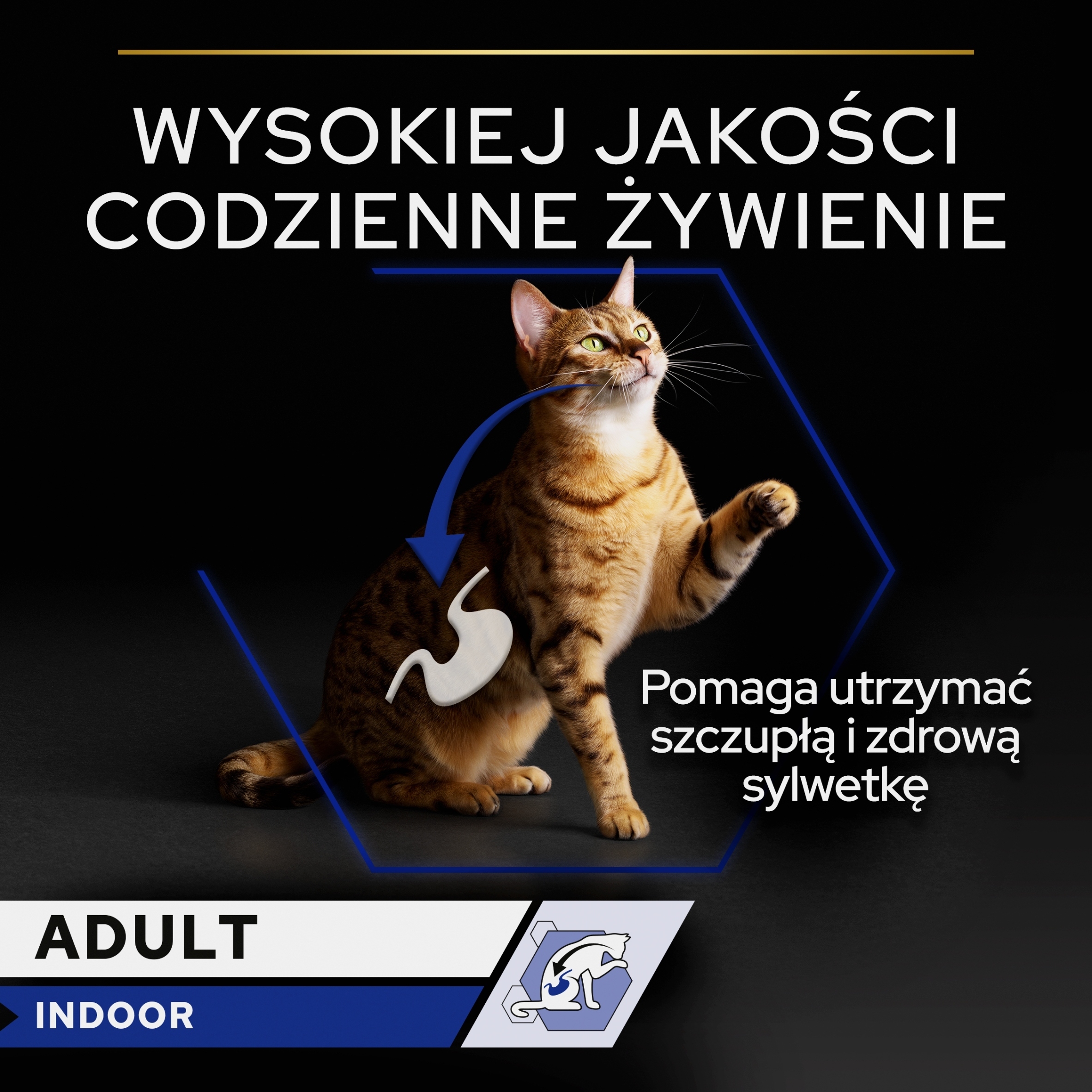 Utrzymanie prawidłowej masy ciała – Klucz do zdrowia Twojego pupila