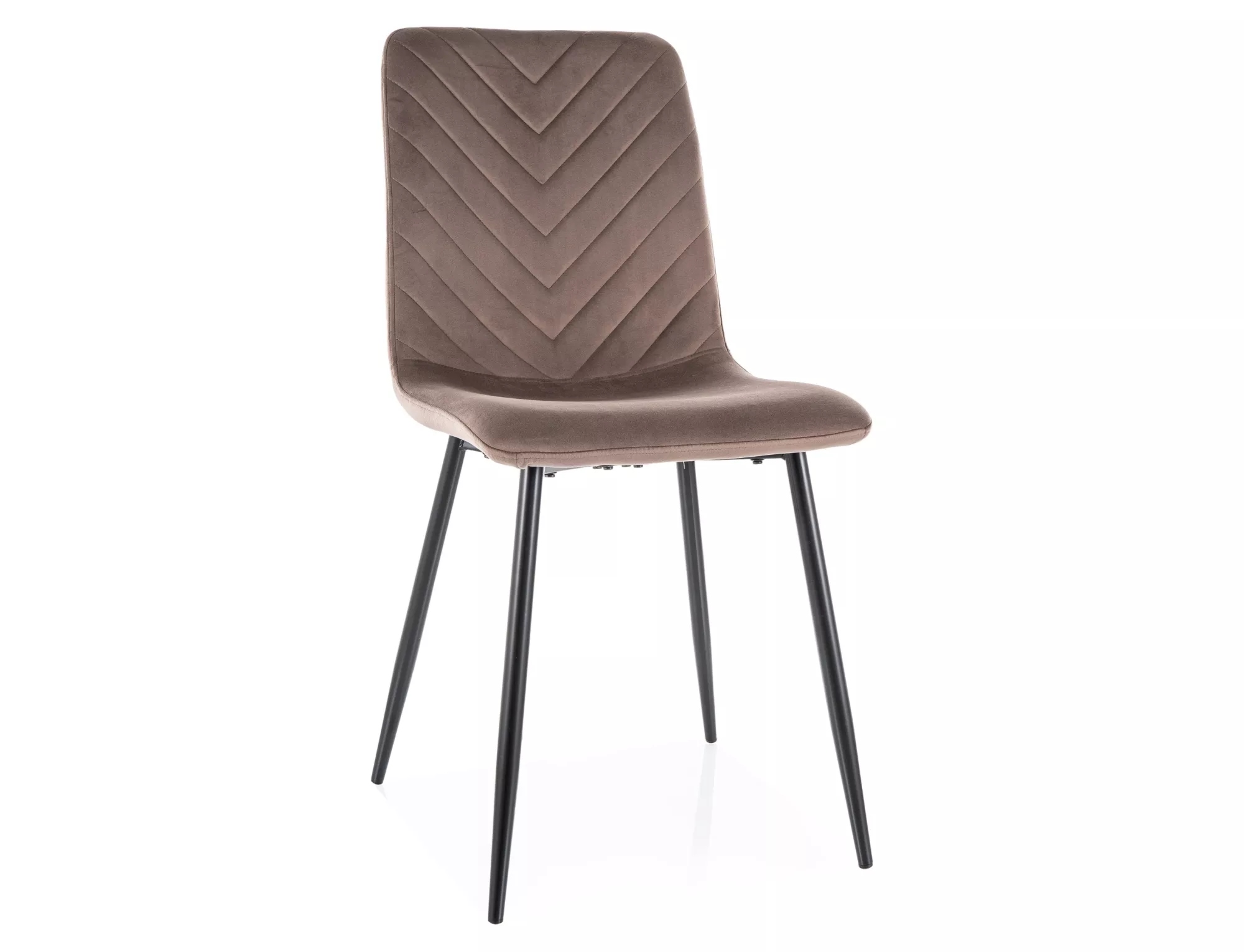 Krzesło tapicerowane DAREN VELVET cappuccino SIGNAL – Elegancja i komfort w Twoim wnętrzu