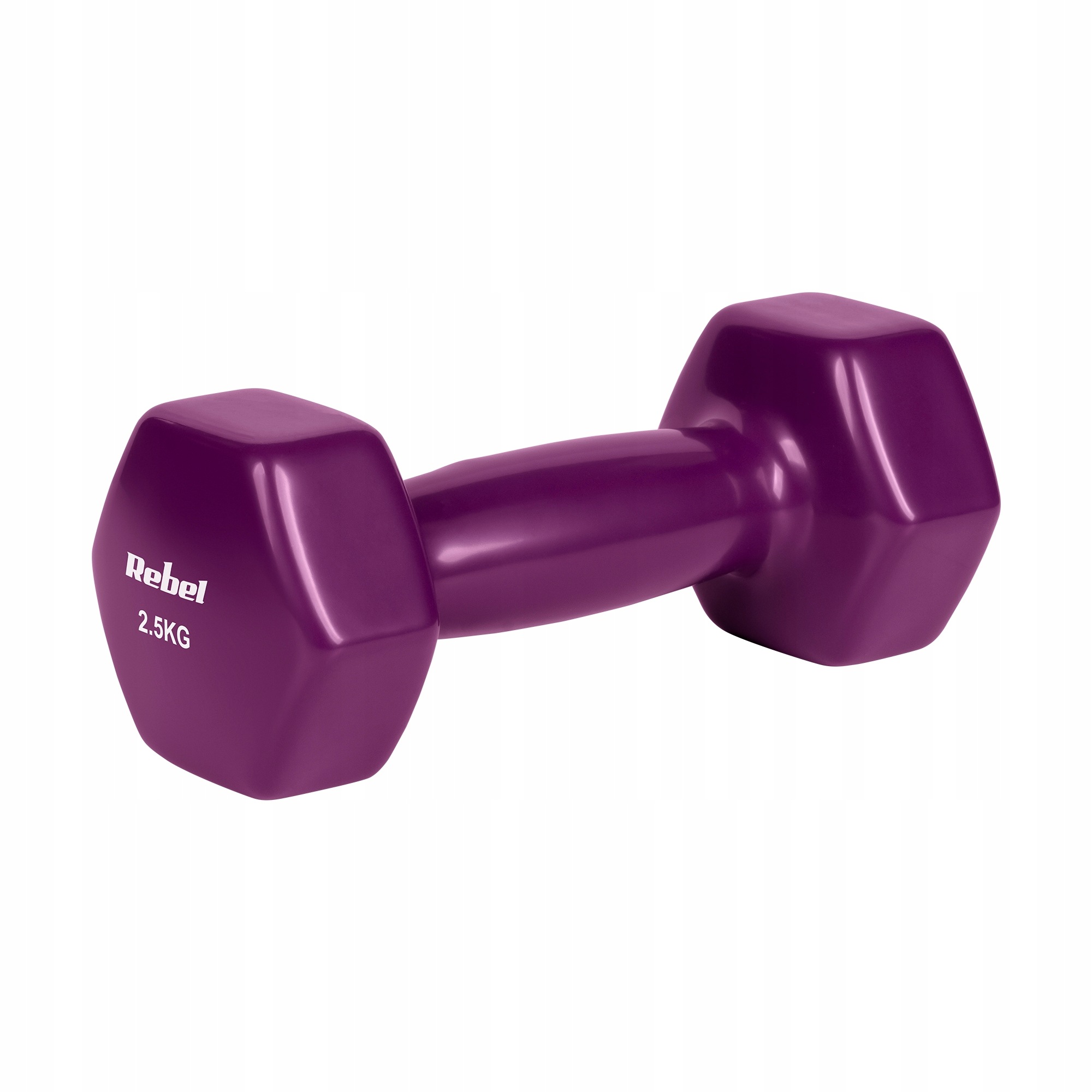 HEX 2x2.5kg REBEL ACTIVE vinyl cast iron dumbbells – Your home workout partner