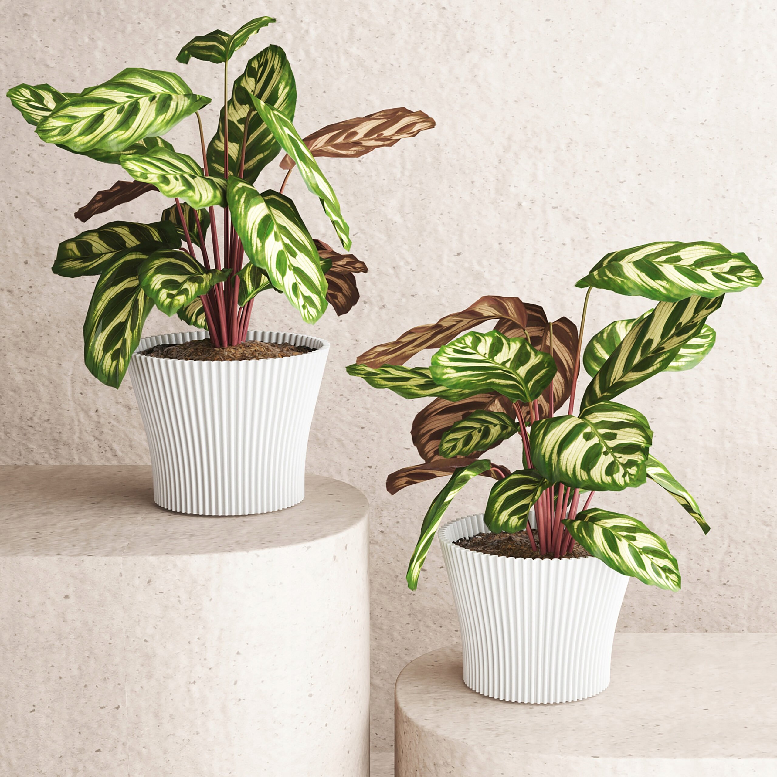 Nowoczesny design i uniwersalne zastosowanie