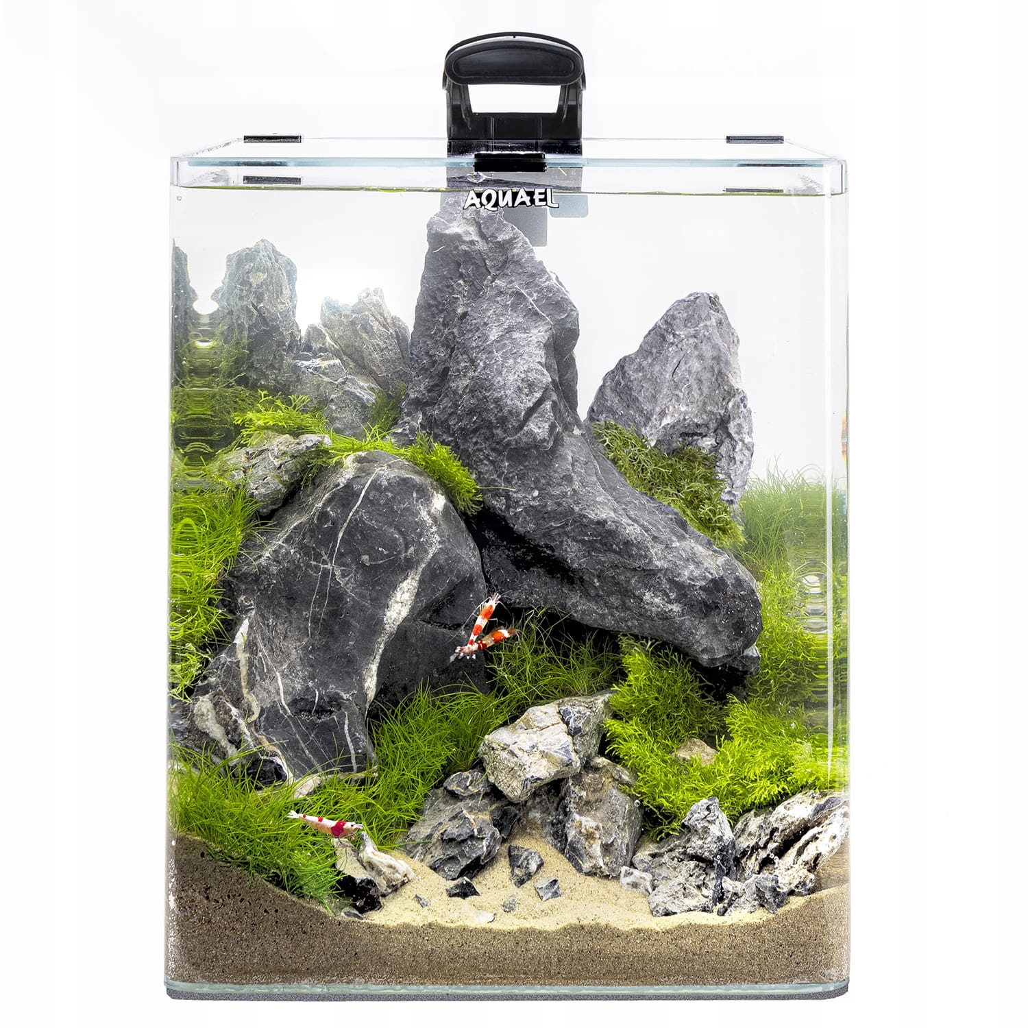 Zestaw Opti Bent Set Day & Night [30l] – Idealne akwarium dla Twojego podwodnego świata