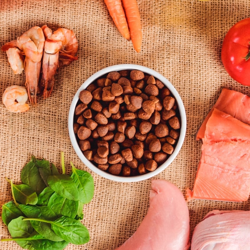 Składniki odżywcze i ich korzyści dla zdrowia psa