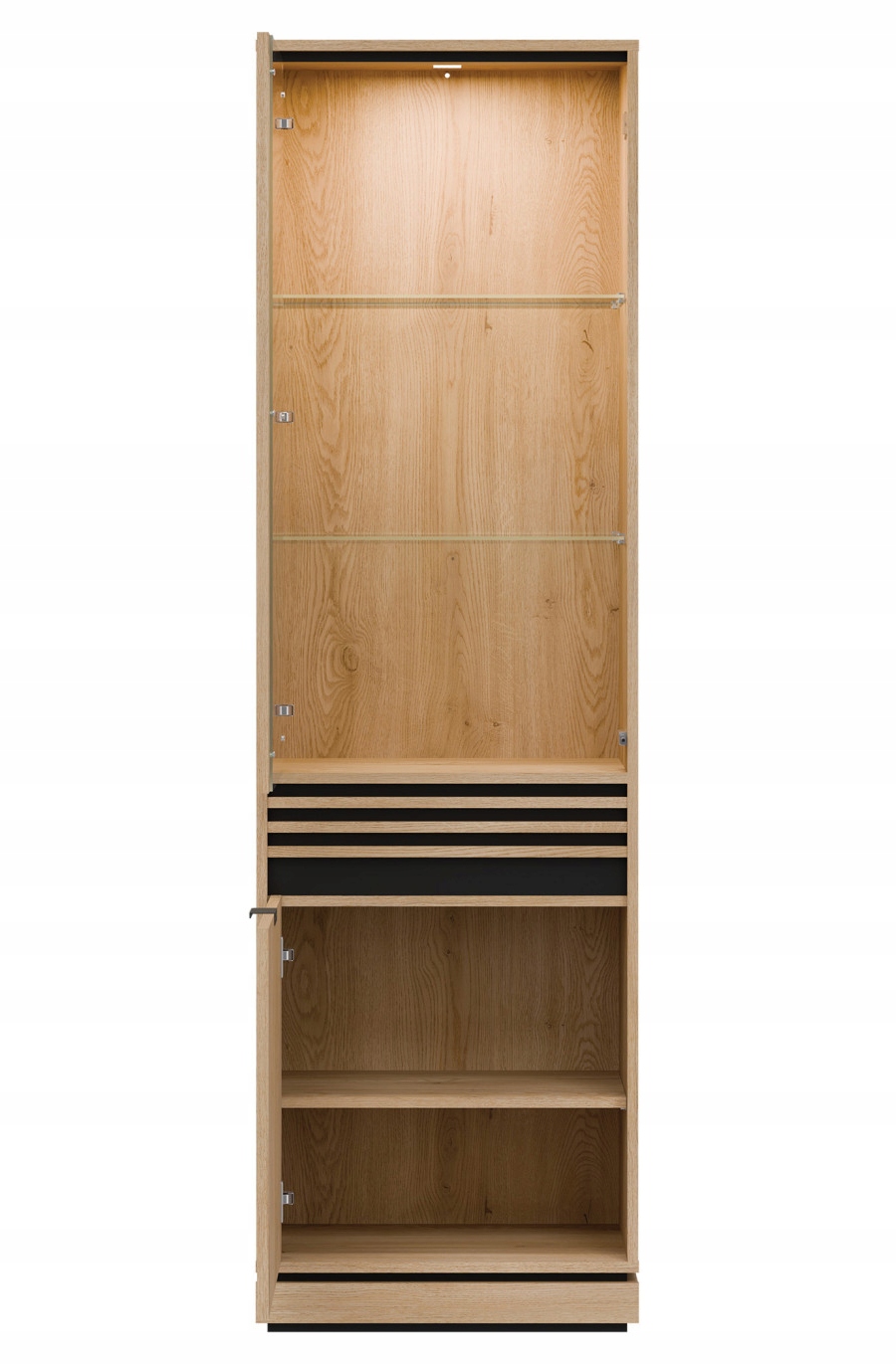 Stylowy design i wszechstronność witryny FERRO FE05