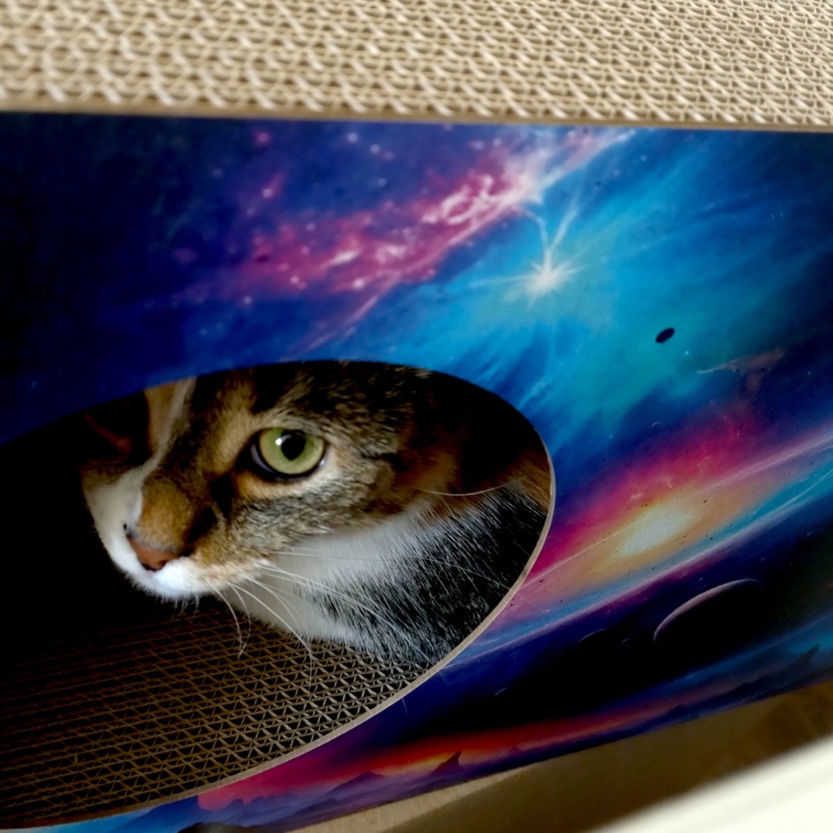 Bezpieczne miejsce do zabawy – Kryjówka dla kota