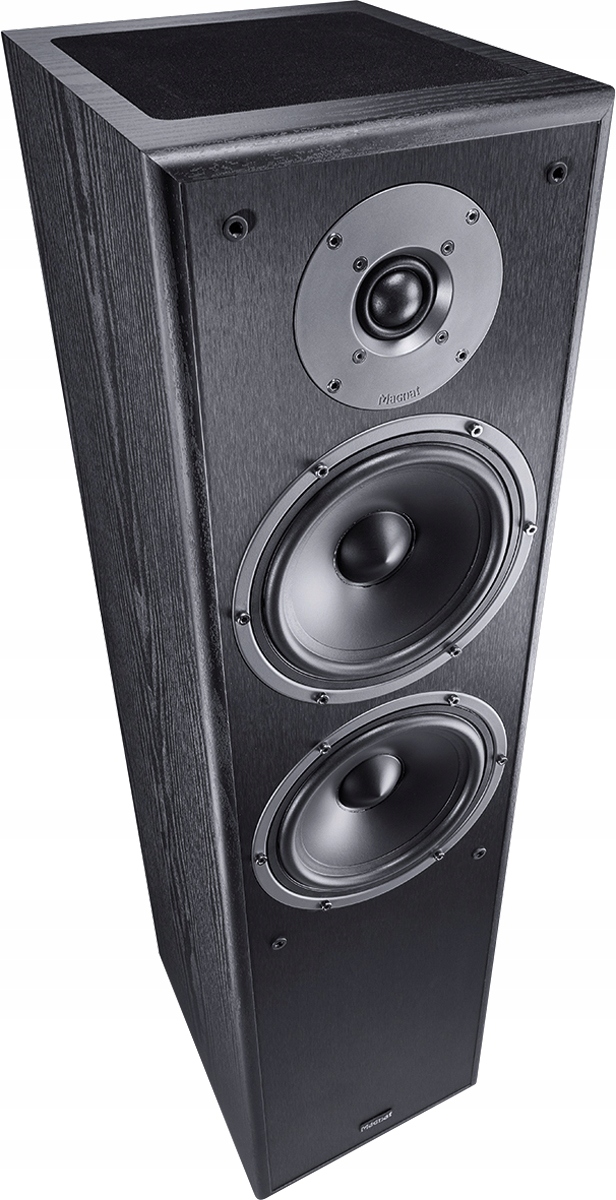 Głośnik podłogowy z modułem Dolby Atmos – Przestrzenny dźwięk na wyciągnięcie ręki