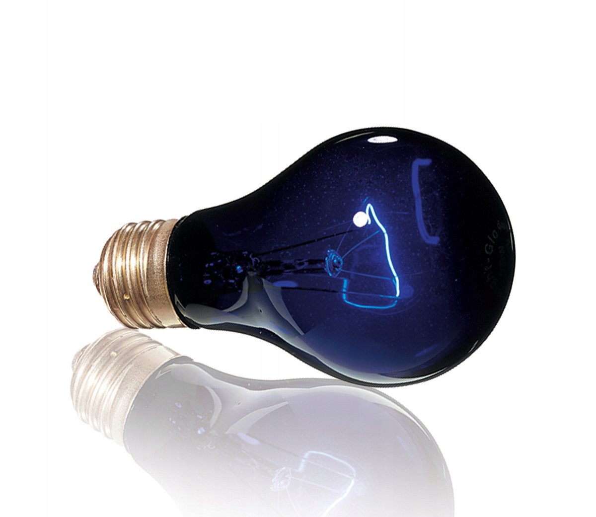 Doskonała do obserwacji nocnych zwierząt