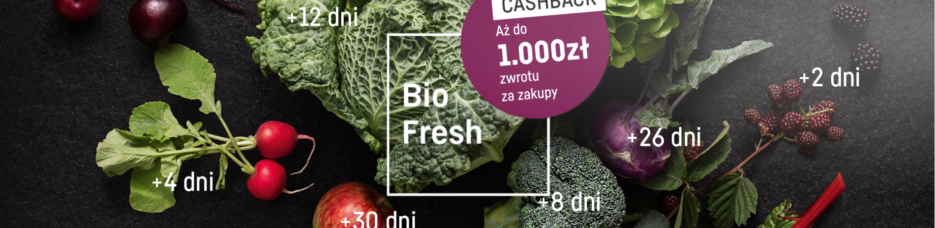 System BioFresh Professional – Zachowaj świeżość na dłużej