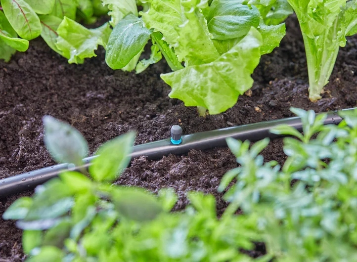 Wysoka jakość wykonania i trwałość