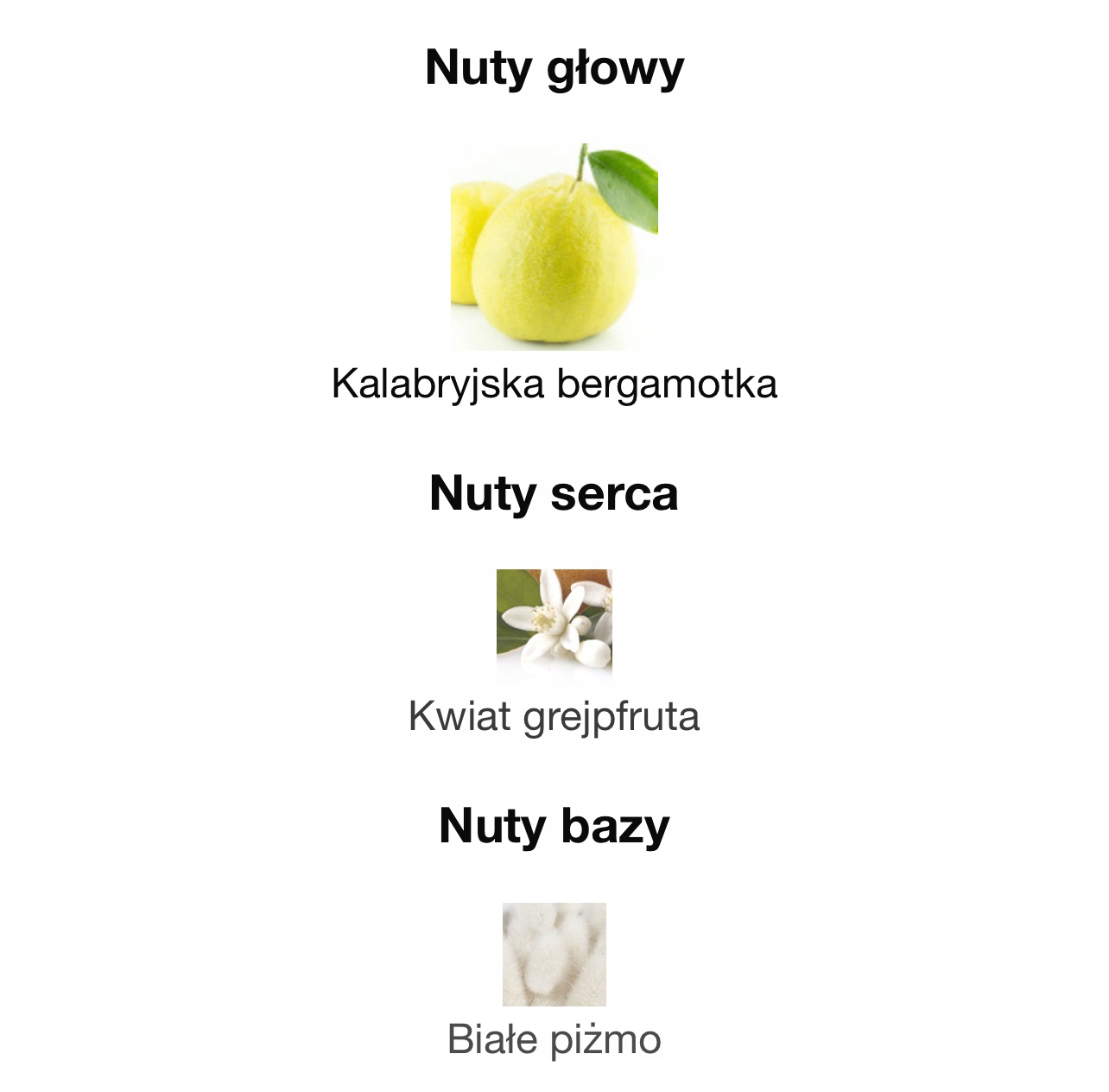 Nuty zapachowe: Kalabryjska bergamotka, Kwiat grejpfruta, Białe piżmo