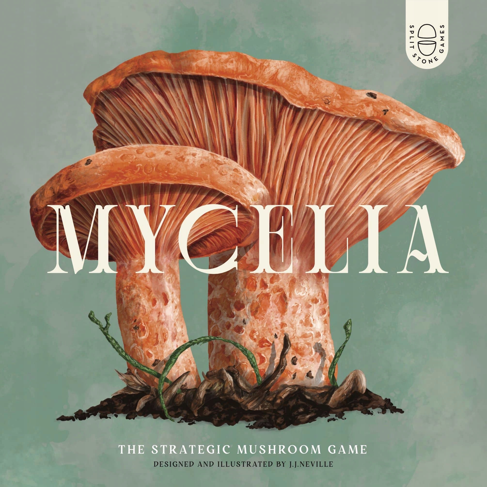 Gra planszowa Mycelia - Odkryj fascynujący świat grzybów