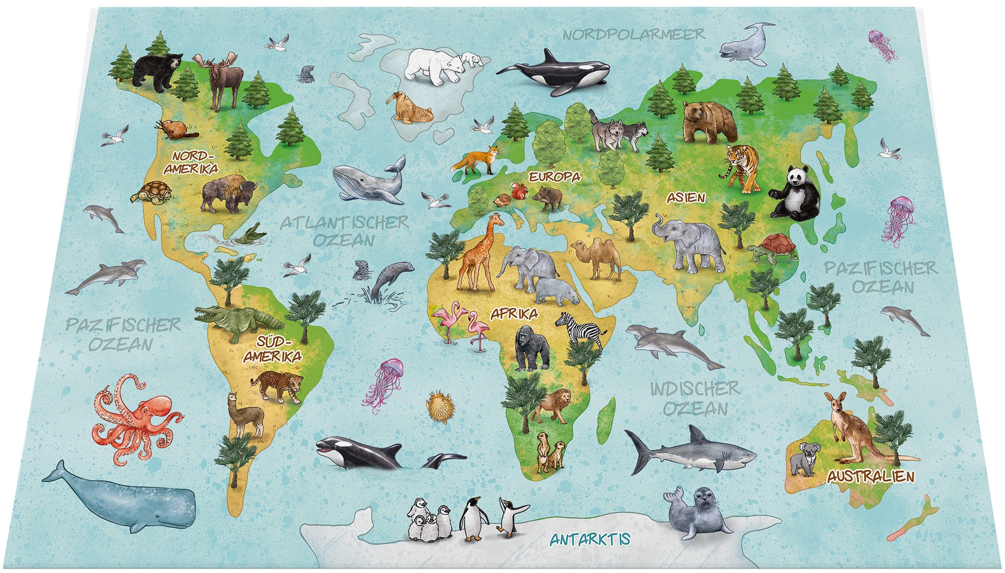 Wysoka jakość wykonania i łatwość w czyszczeniu