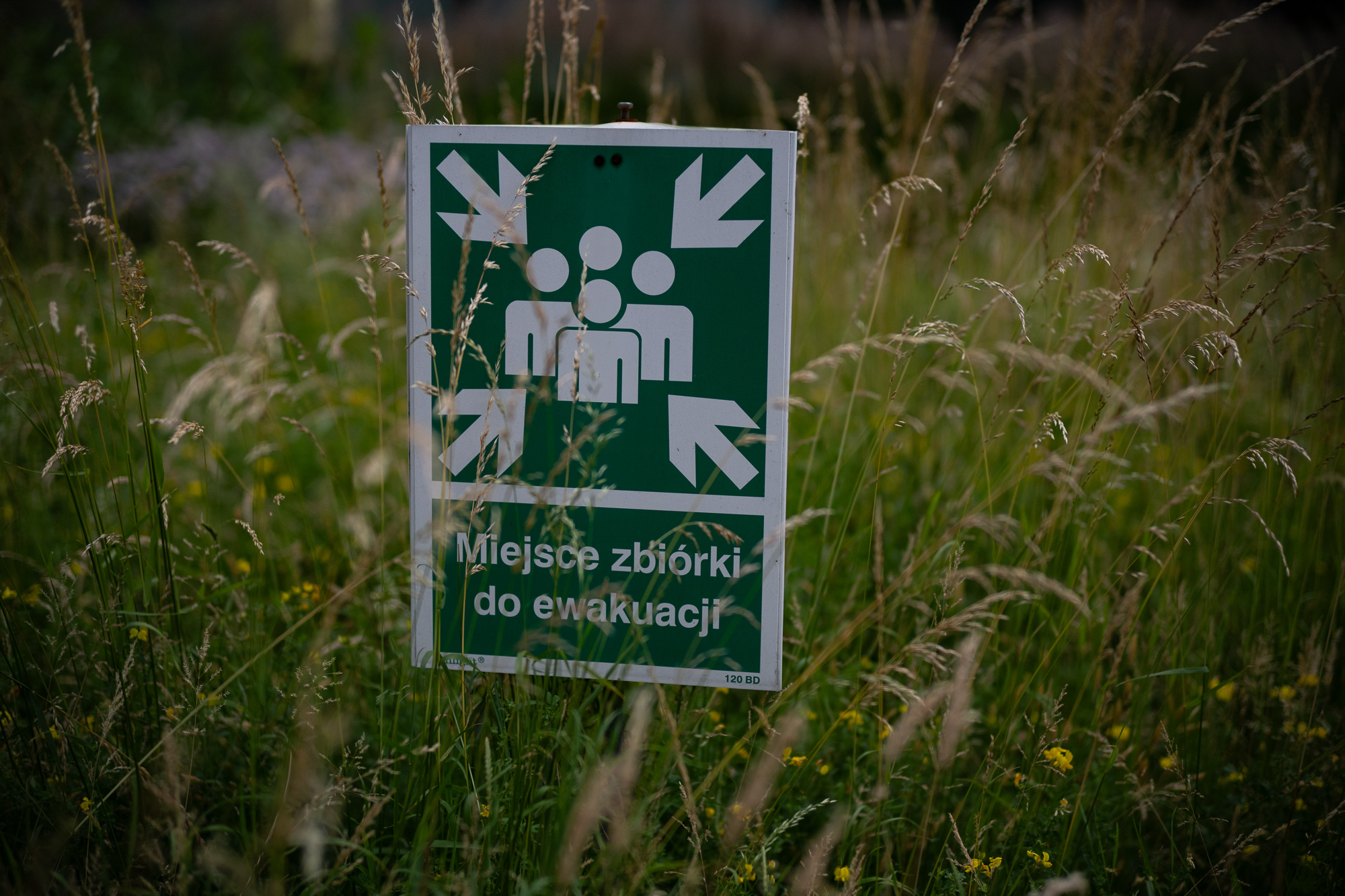 Obiektyw Voigtlander Nokton 50 mm f/1,0 do Nikon Z