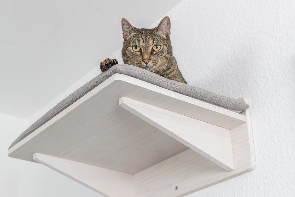 Podwyższone miejsce do leżenia dla kota
