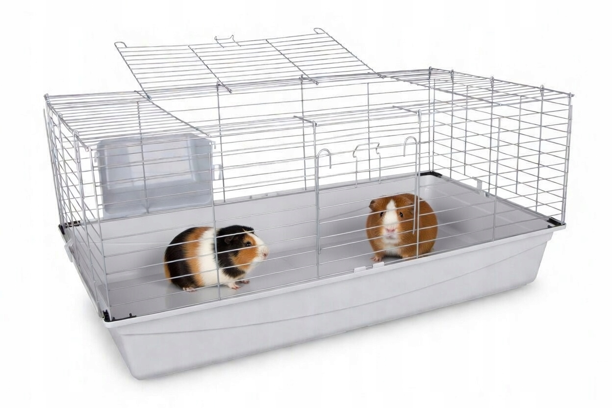 Wymiary i ergonomia – Idealne rozmiary dla królików i świnek morskich