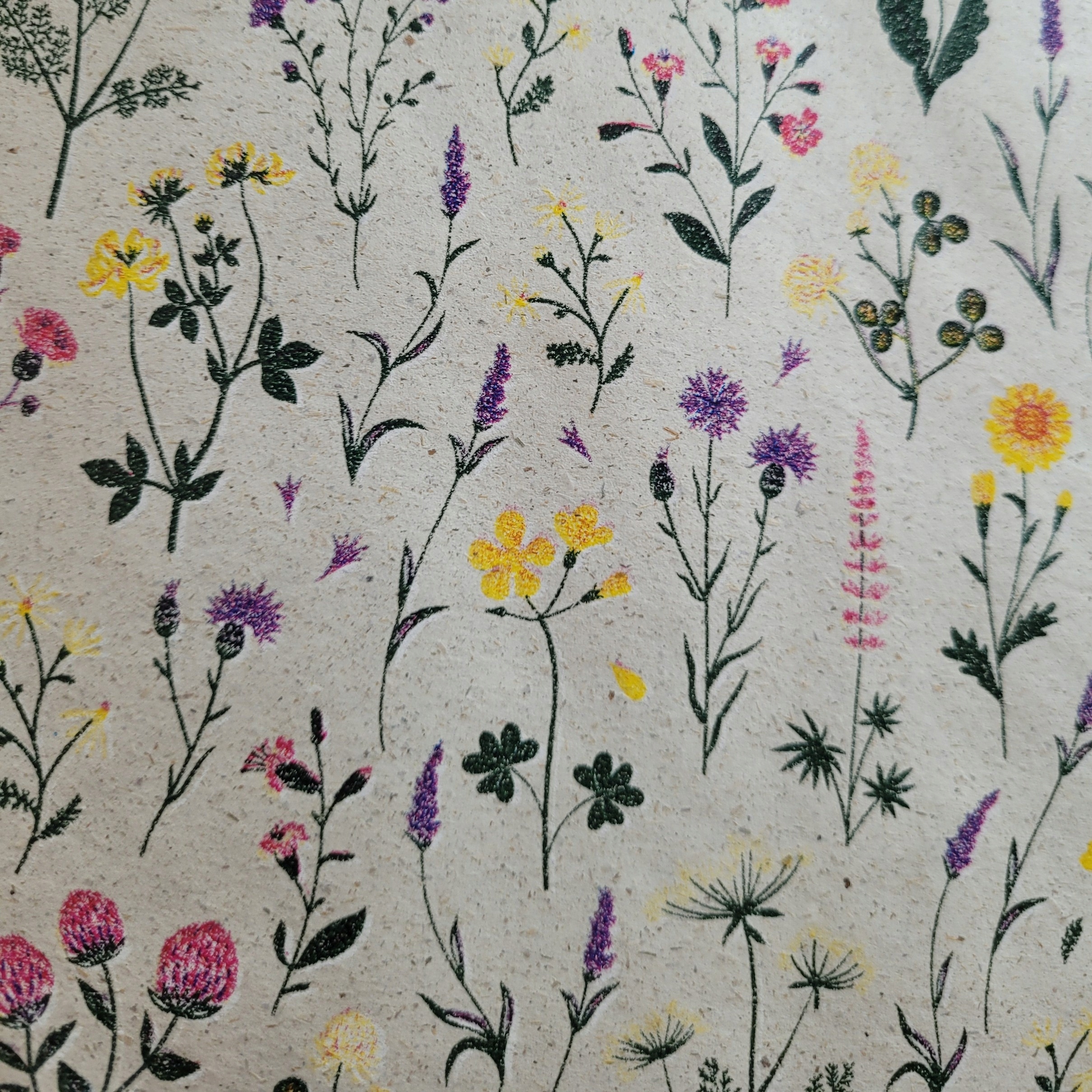 Wyjątkowe okazje – Idealne na urodziny, święta i inne imprezy