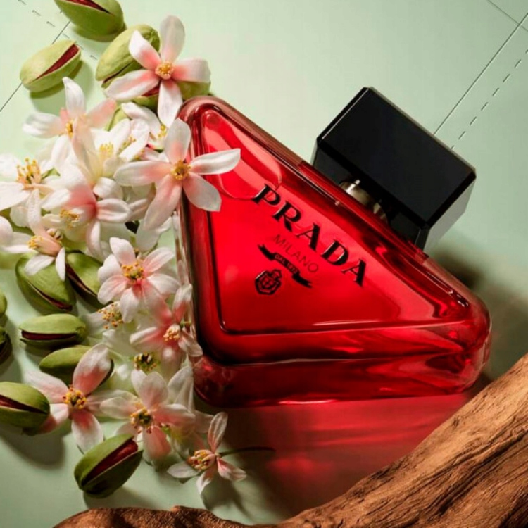 Zmysłowe nuty zapachowe: kwiat pomarańczy, solona pistacja, drzewo sandałowe