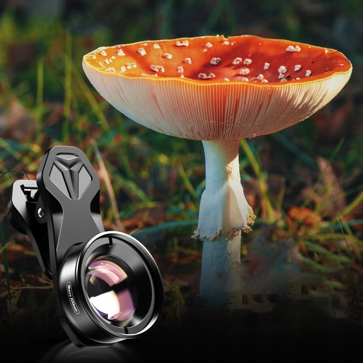 Idealna do makrofotografii – Uchwyć mikroskopijne szczegóły