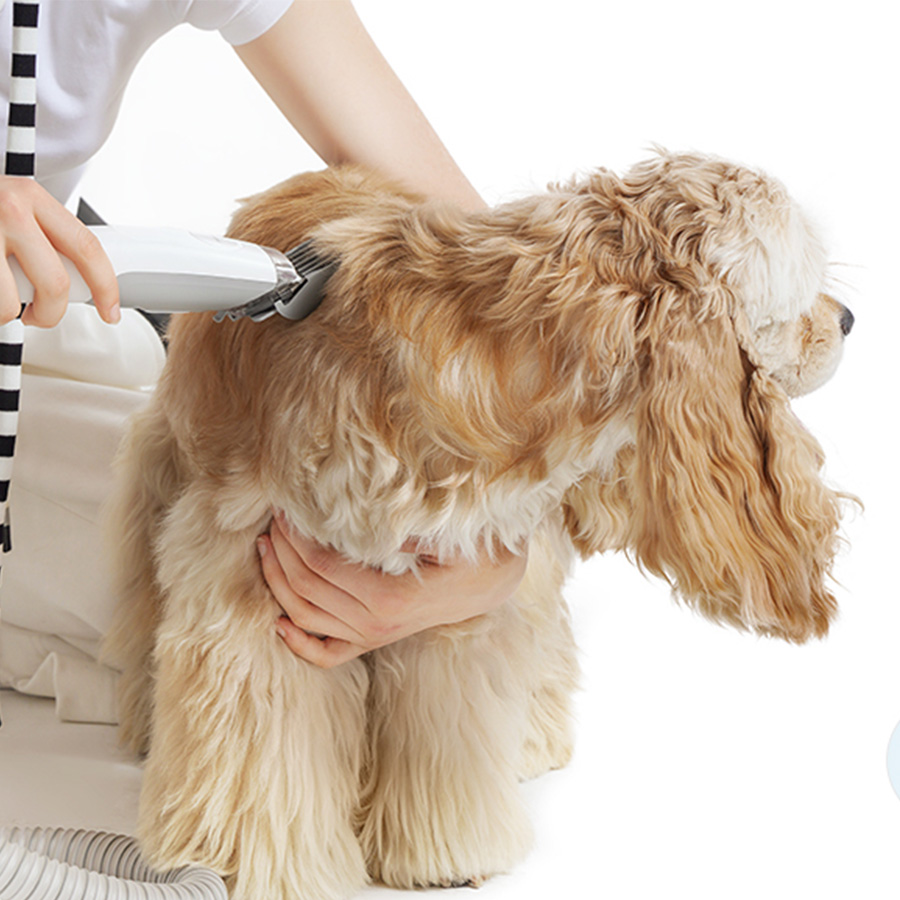 Potężne odsysanie dla szybkiego strzyżenia