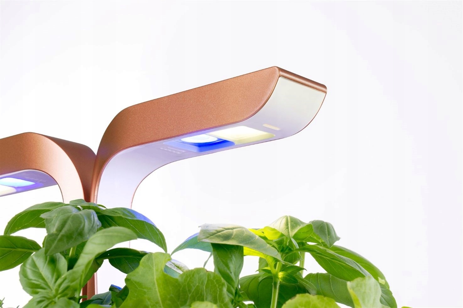 Automatyczna regulacja oświetlenia LED – Idealne warunki dla roślin