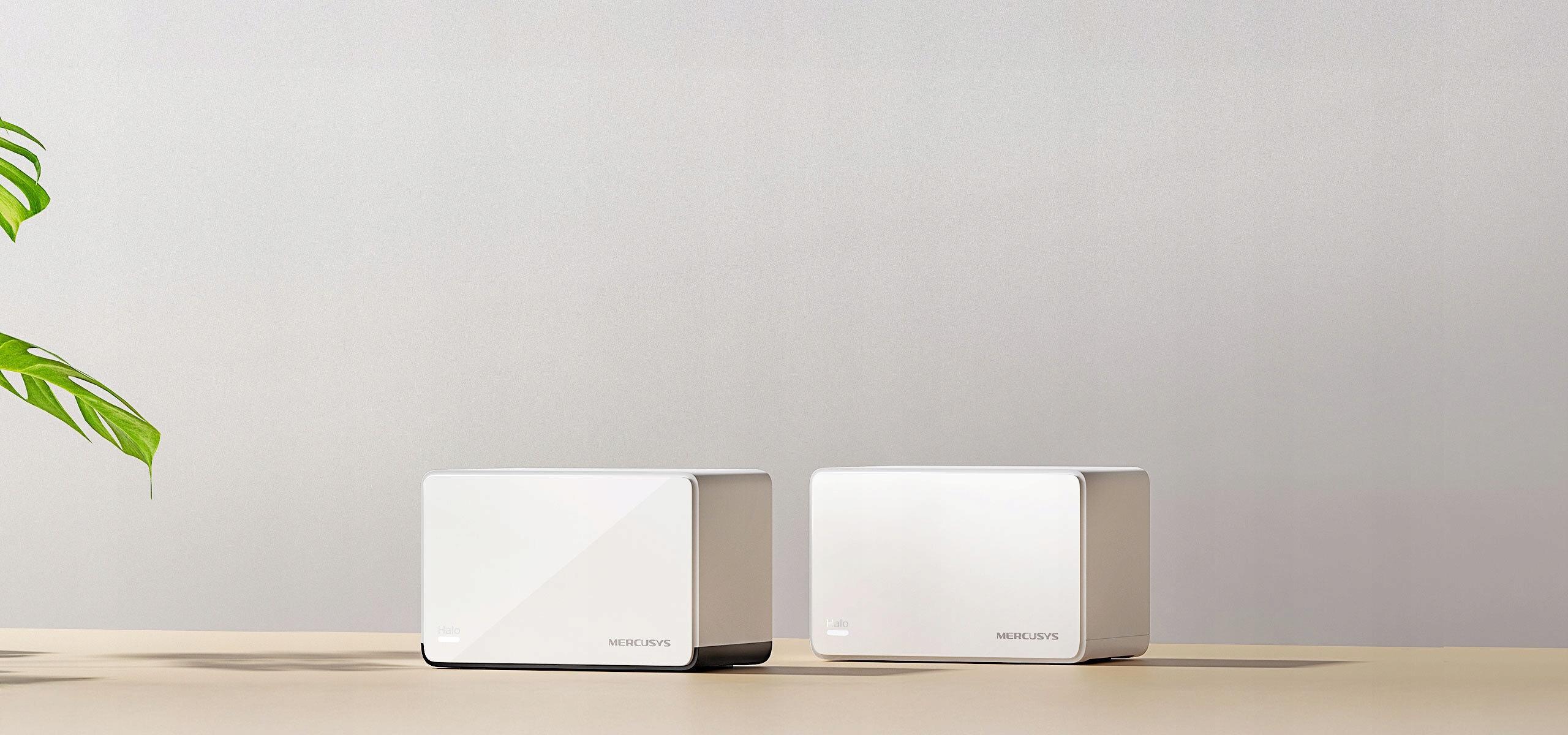 Technologia Wi-Fi Mesh – Eliminacja martwych stref w Twoim domu