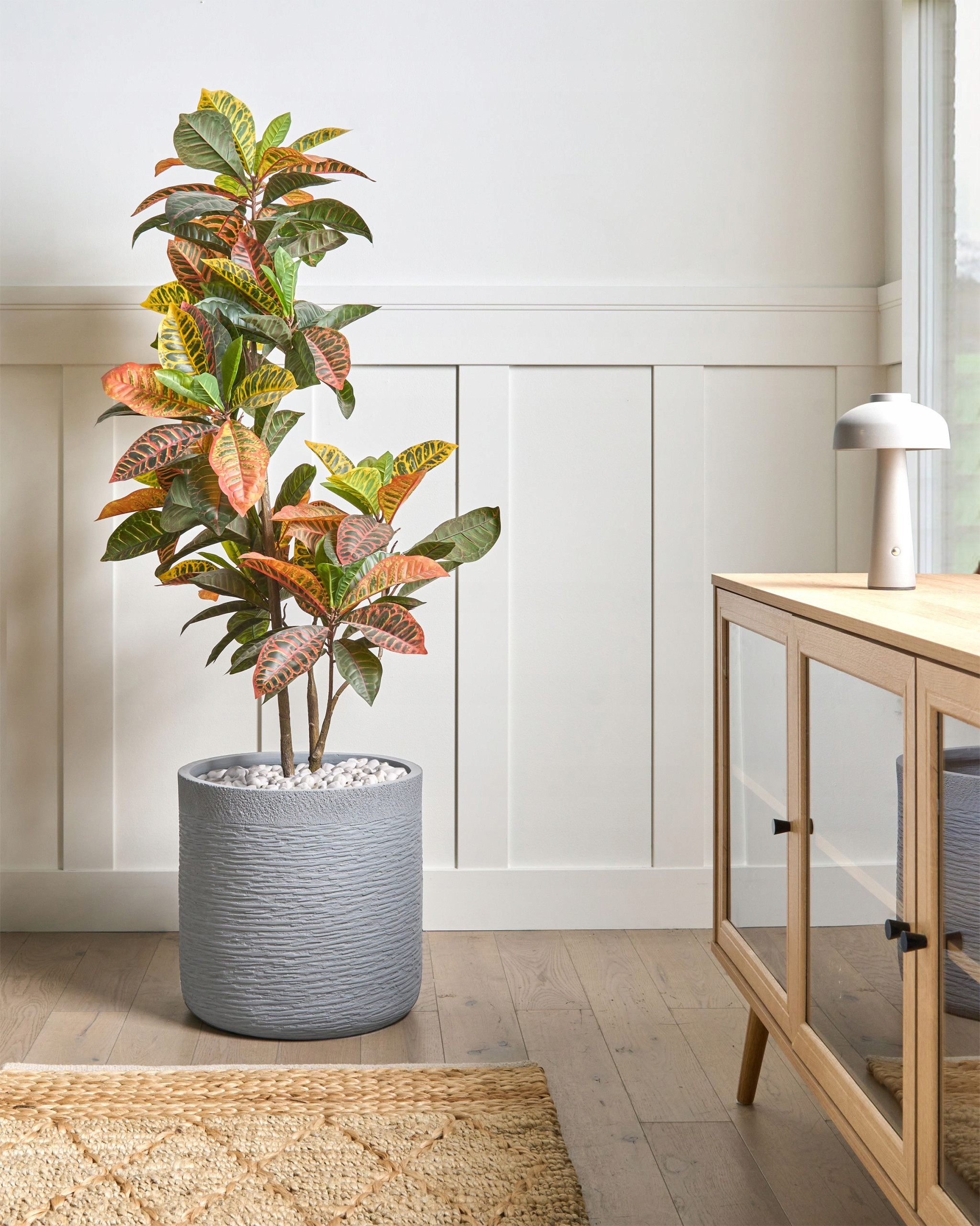 Minimalistyczny design idealny dla roślin