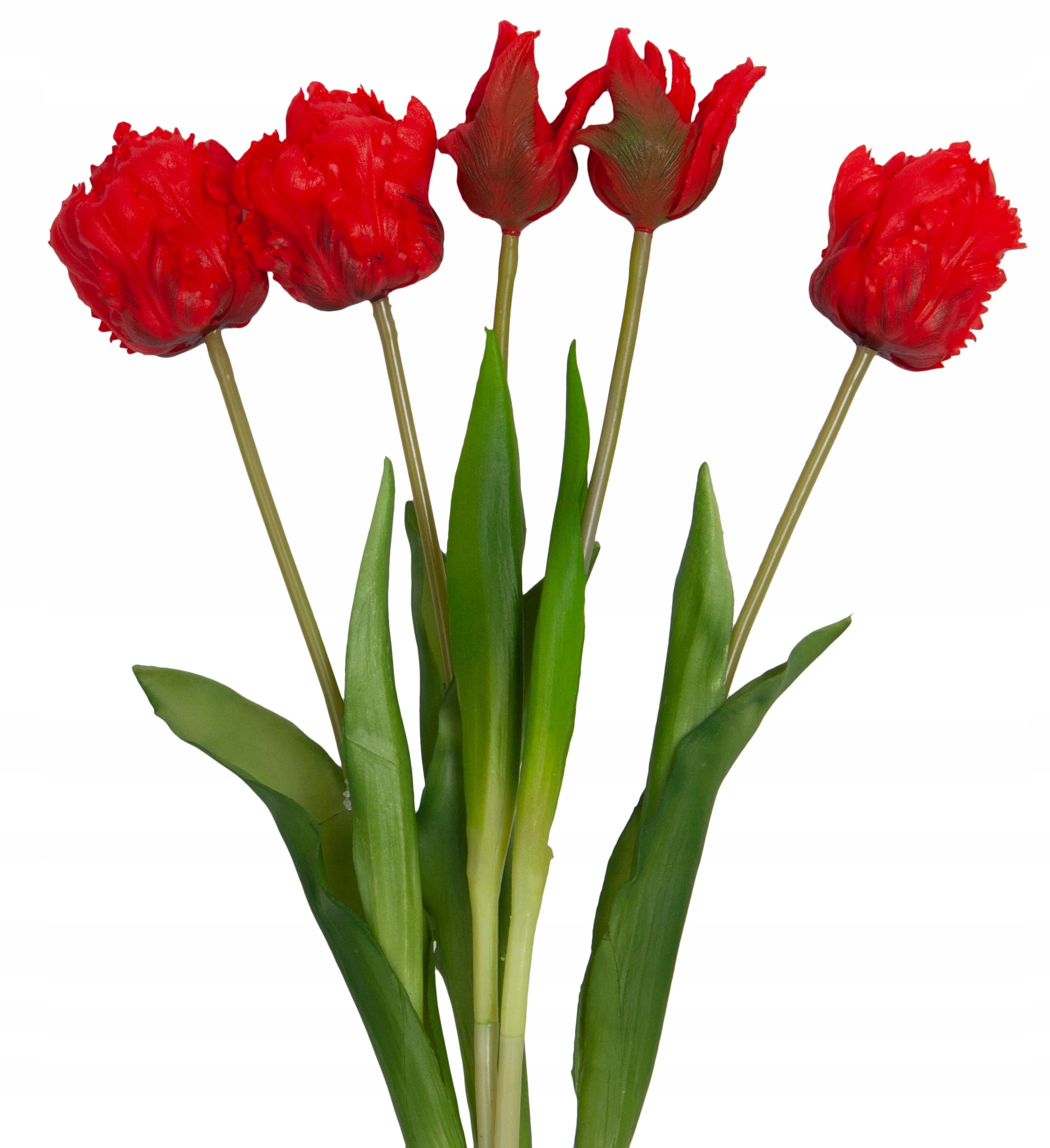 Ekskluzywne tulipany gumowane – Trwałość i piękno w Twoim domu