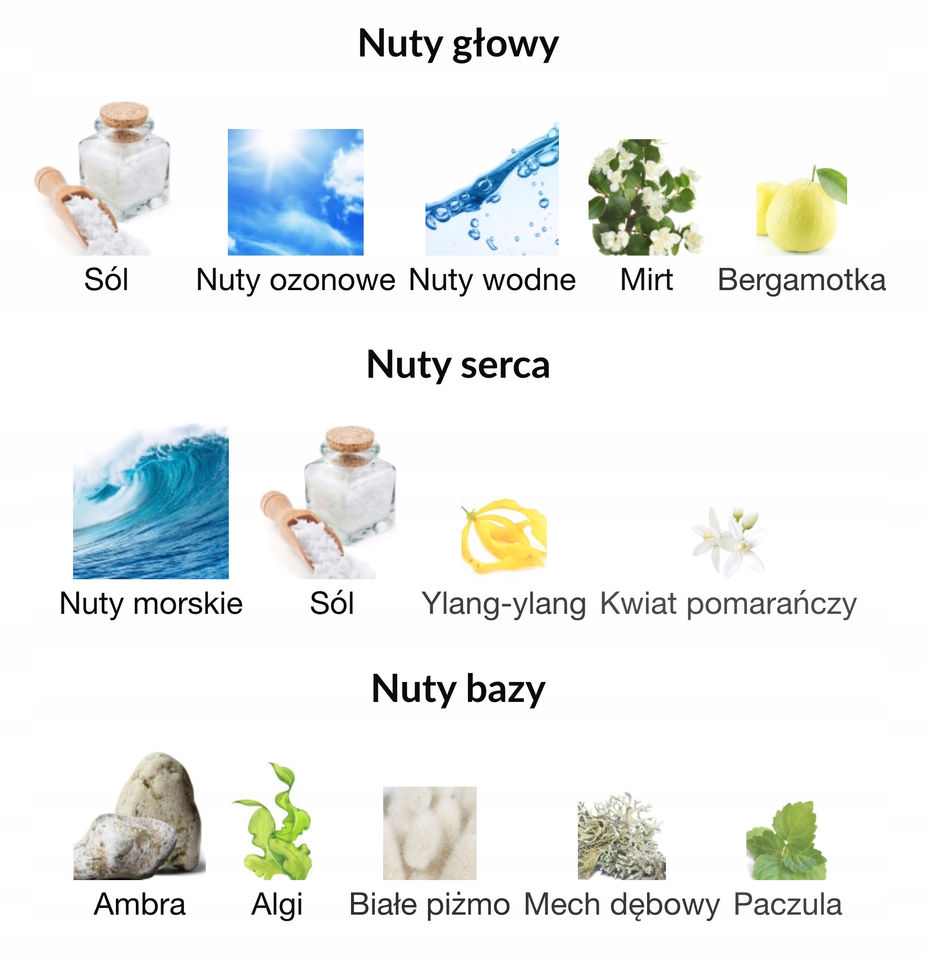Trwałe nuty żywic i przypraw – zapach, który intryguje
