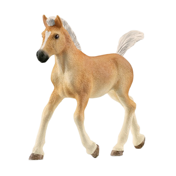 9f9c7fc467a6d49d73e599fa58cbad69.png