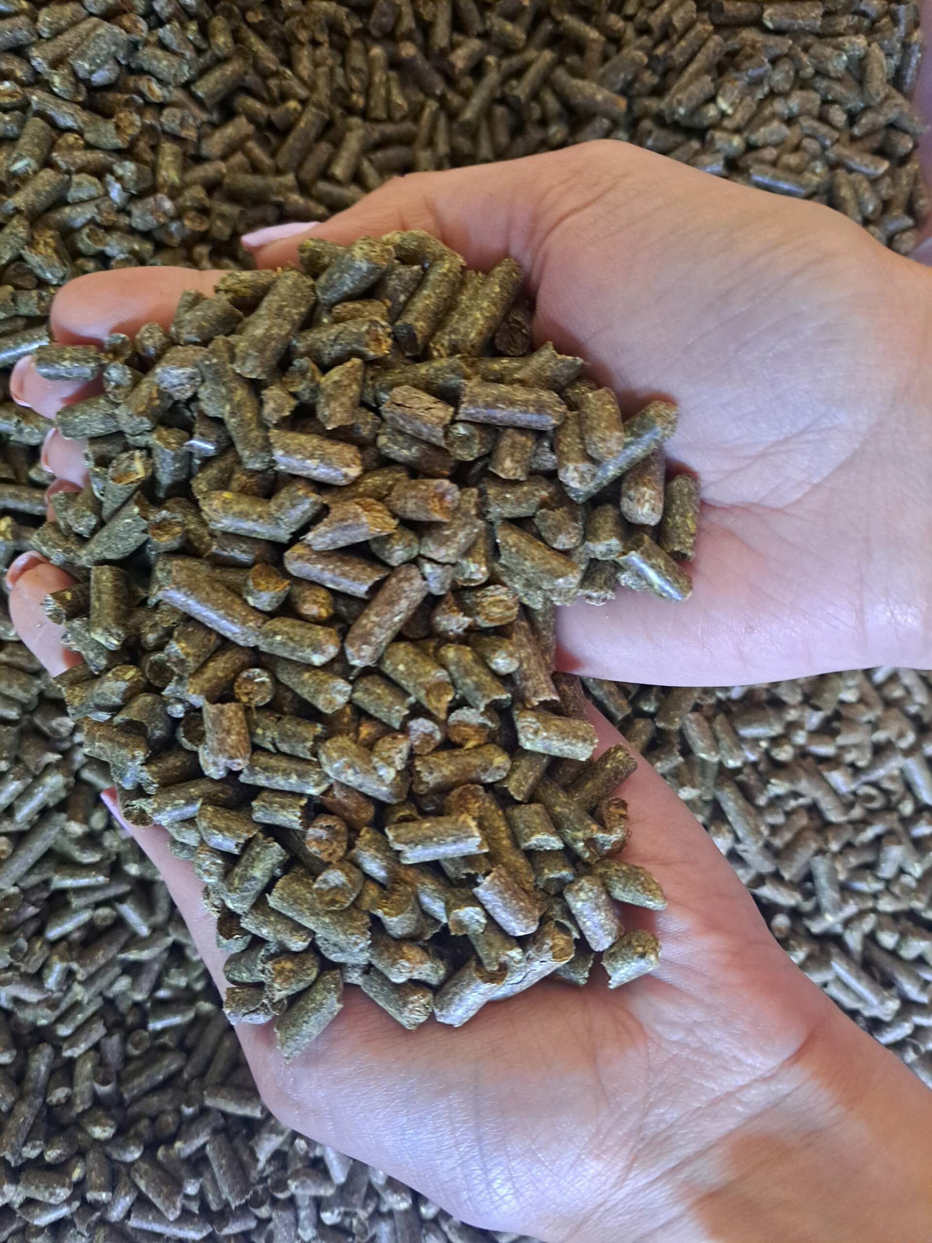 Wysoka jakość i składniki odżywcze