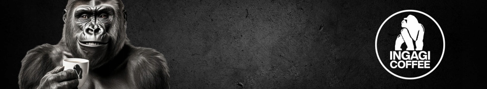 Dlaczego warto wybrać kawę Cold Brew Ingagi Coffee?