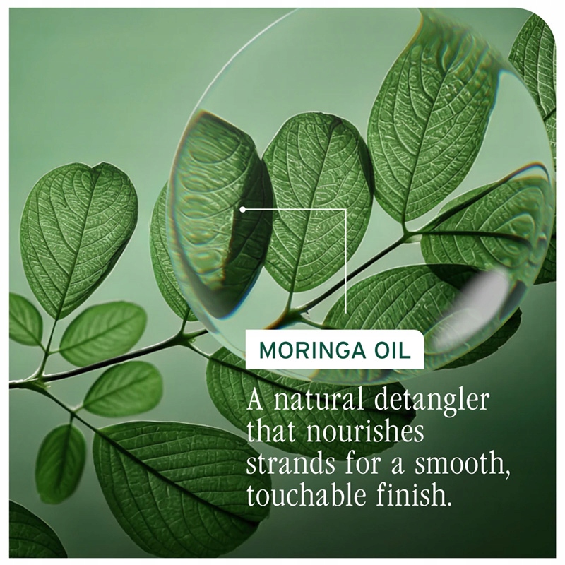 Odżywienie i regeneracja z olejkiem Moringa