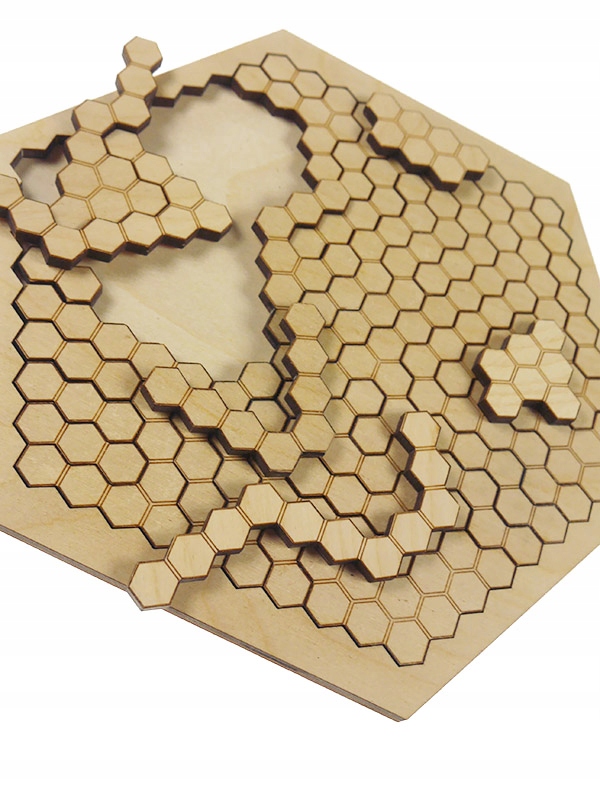 Odkryj świat pszczół z puzzlami Plaster Miodu