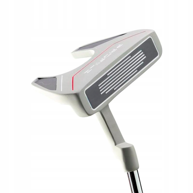 Kompletny zestaw 10 kijów golfowych z torbą typu standbag