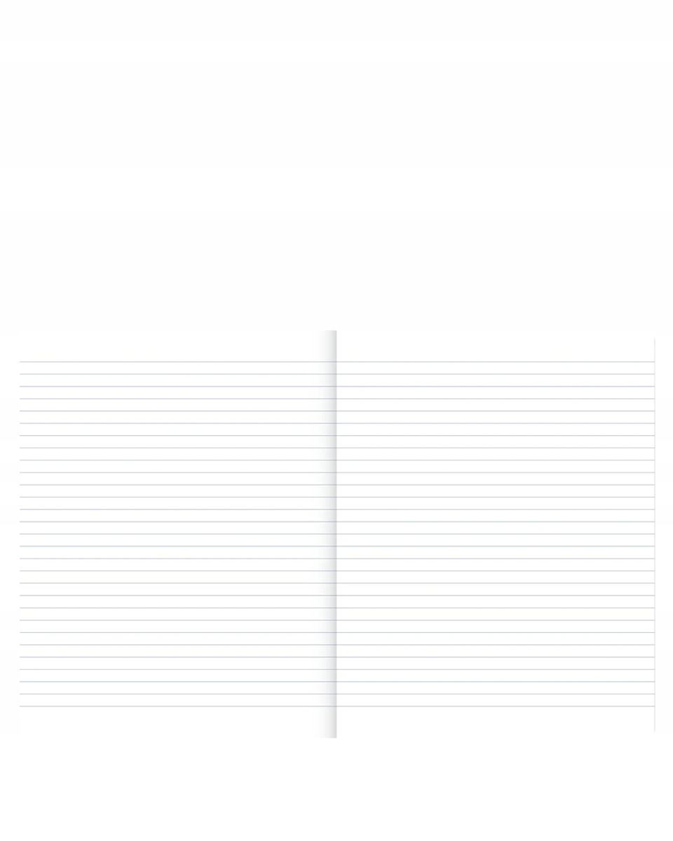 Przejrzyste wnętrze z 80 kartkami w linie